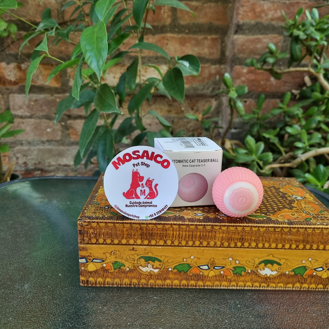Pelota usb juguete para gato 1
