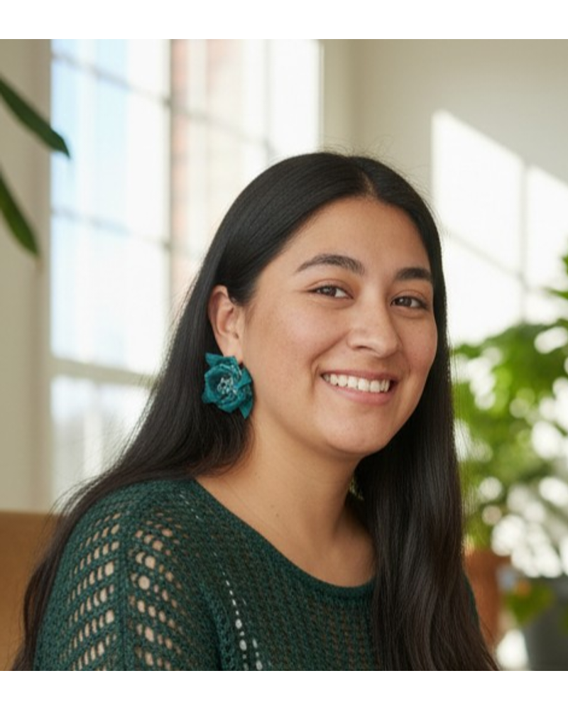 AROS TELA gancho plata