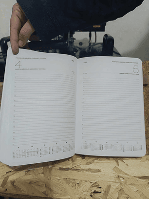 Agenda Diária Personalizadas  Minnie