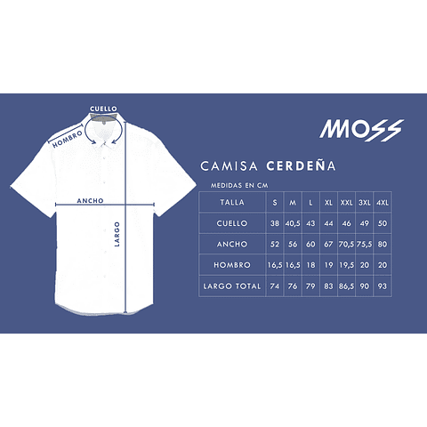 Camisa Cerdeña Celeste/Blanco