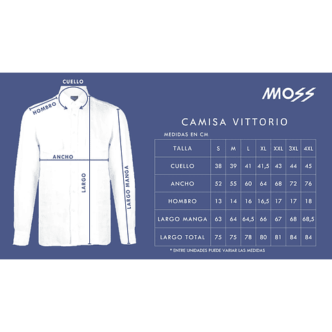 Camisa Vittorio Gris/Celeste