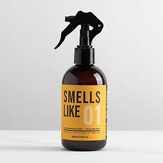  SMELLS LIKE 01 AROMA MO STORE / BRUMA TEXTIL & AMBIENTAL