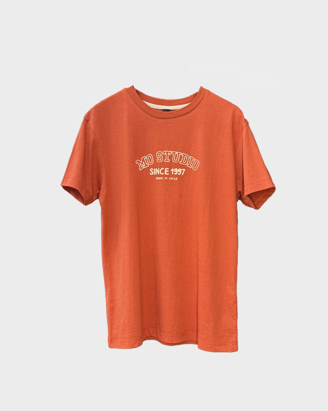 POLERA LINNER POMELO ESTAMPADO EST 1997 1