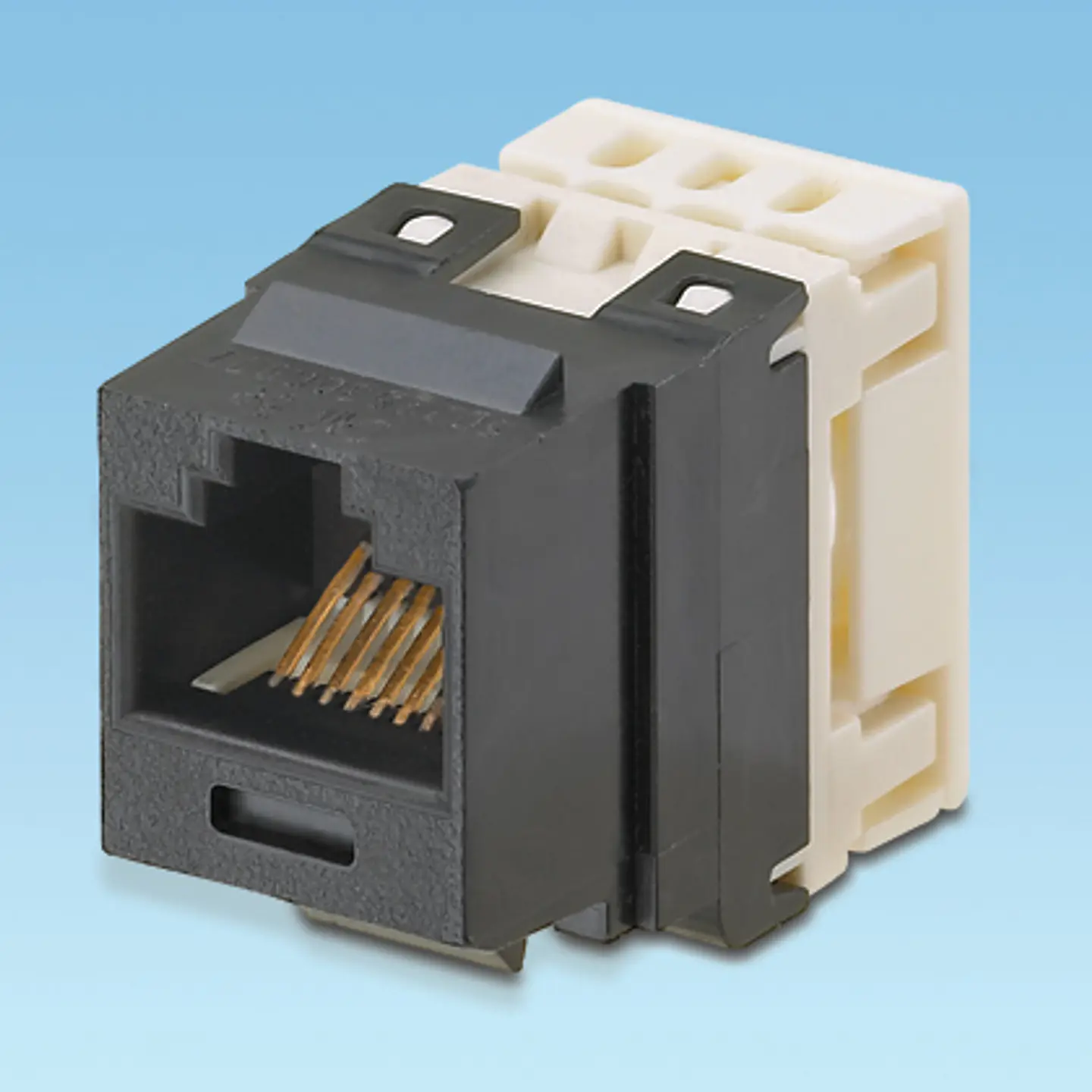NKP5E88MIW NETKEY Módulo de Jack Punchdown de Categoría 5e 1