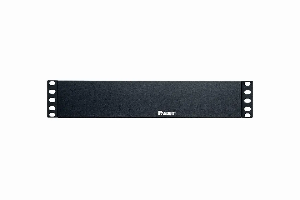 DPFP2 PANDUIT Panel de Relleno de Rack Horizontal 1