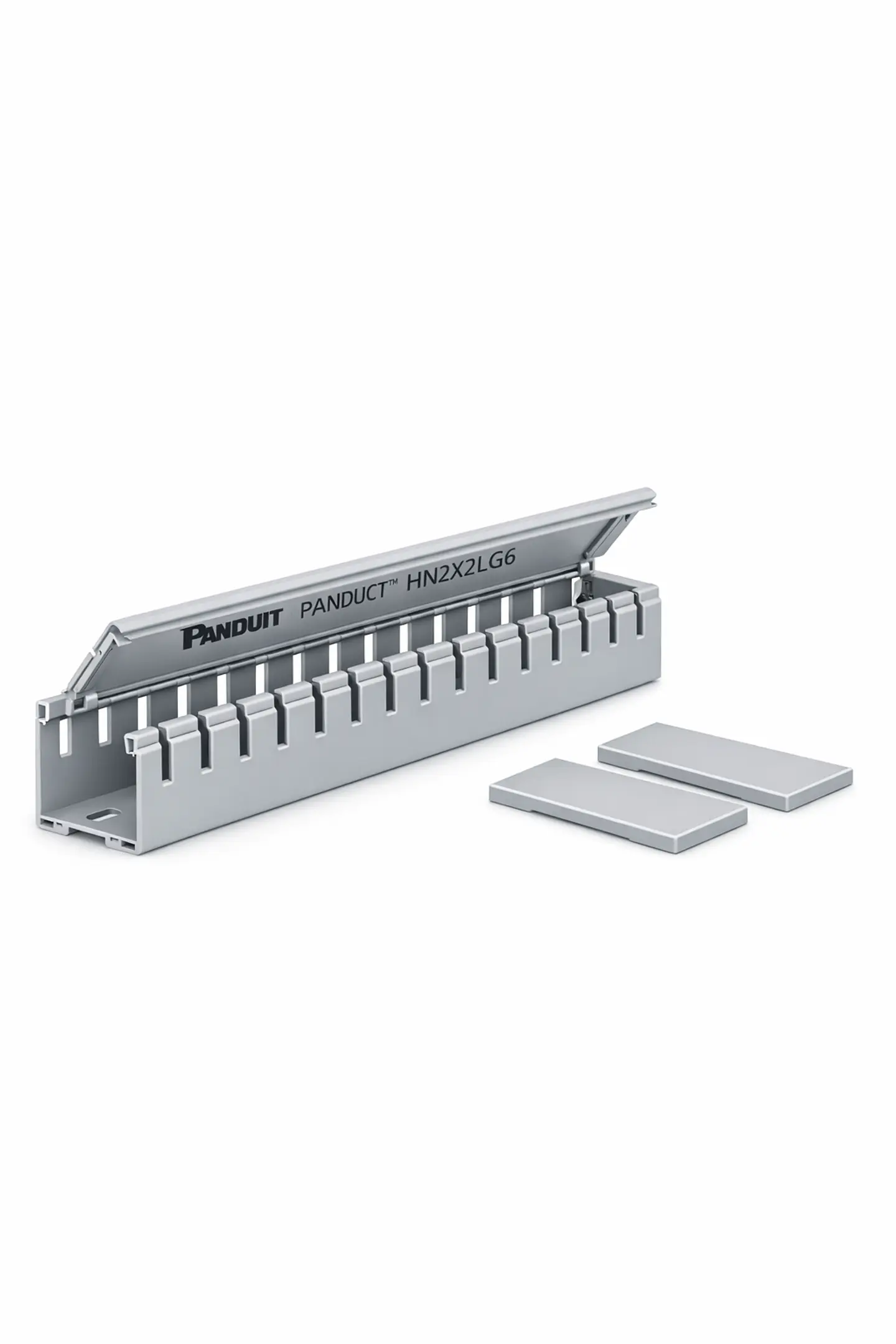 HN2X2LG6 PANDUIT Conducto de cableado tipo Panduct HN con tapa articulada 1