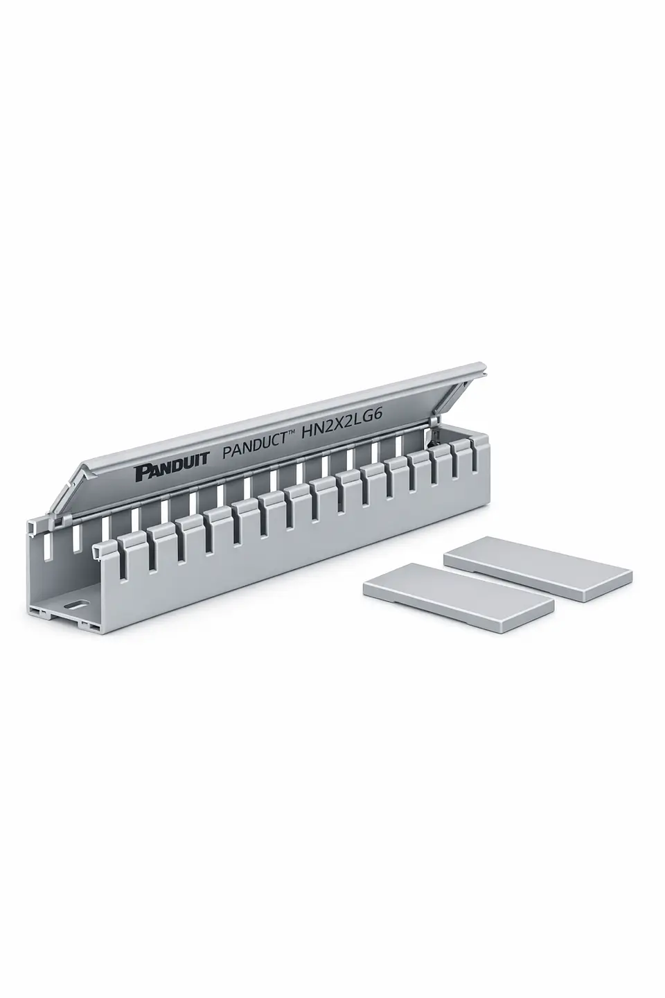 HN2X2LG6 PANDUIT Conducto de cableado tipo Panduct HN con tapa articulada 1
