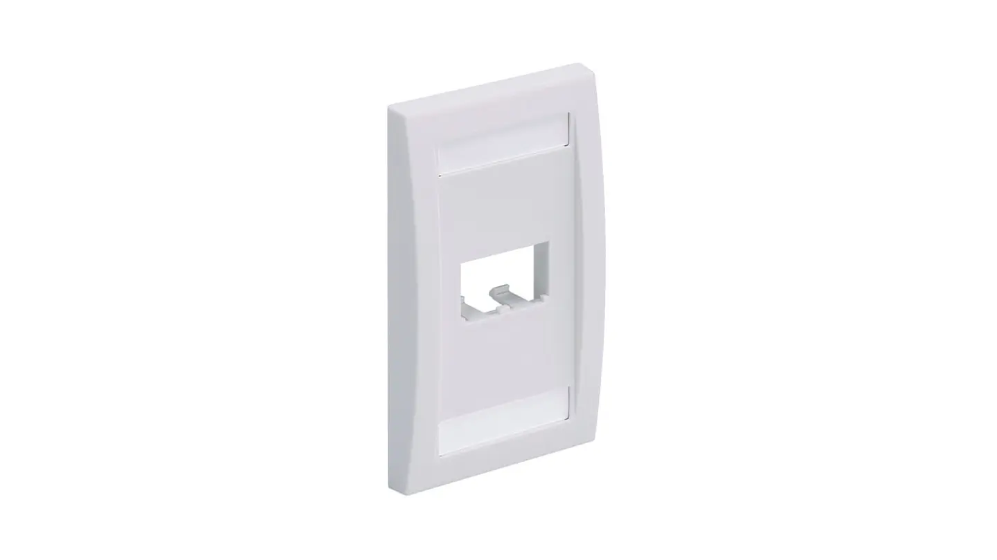 CFPE2WHY PANDUIT Mini-Com cara de pared de 2 puertos de tamaño estándar 1