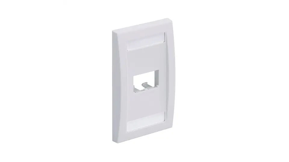 CFPE2WHY PANDUIT Mini-Com cara de pared de 2 puertos de tamaño estándar 1