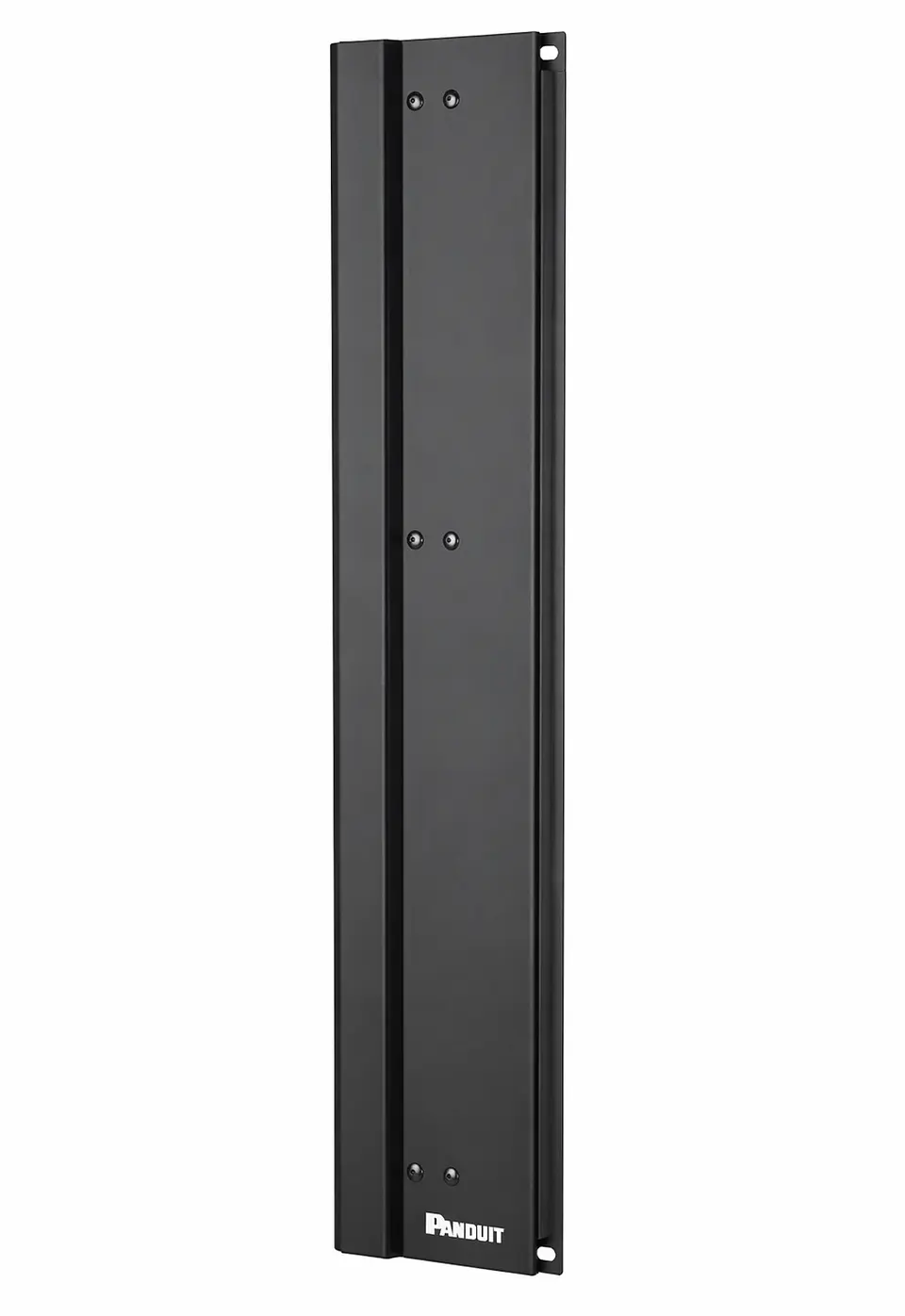 NFEP PANDUIT Panel de gestión de cables para rack 1