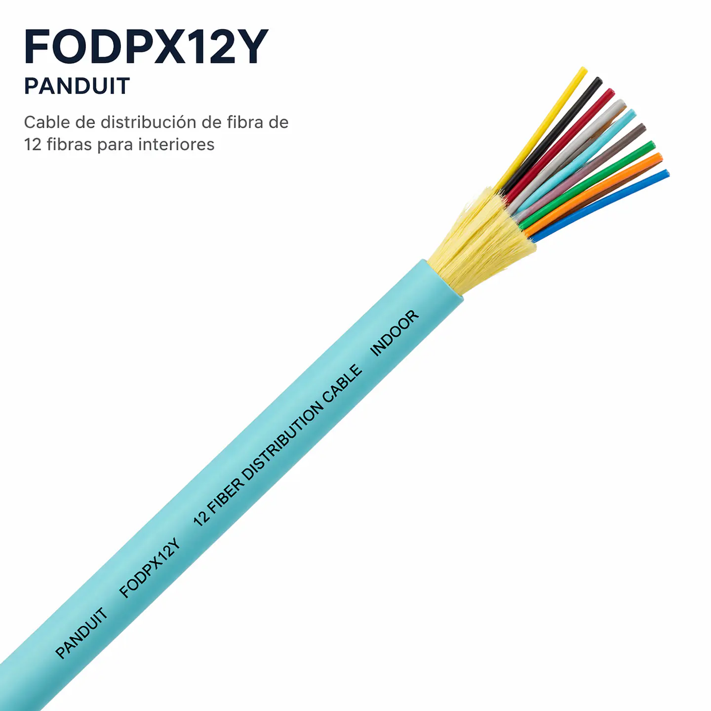 FODPX12Y PANDUIT Cable de distribución de fibra de 12 fibras para interiores 1