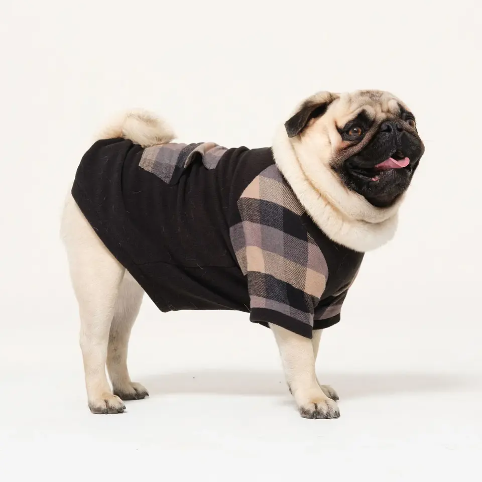 ROPA PARA PERRO CUADROS 2