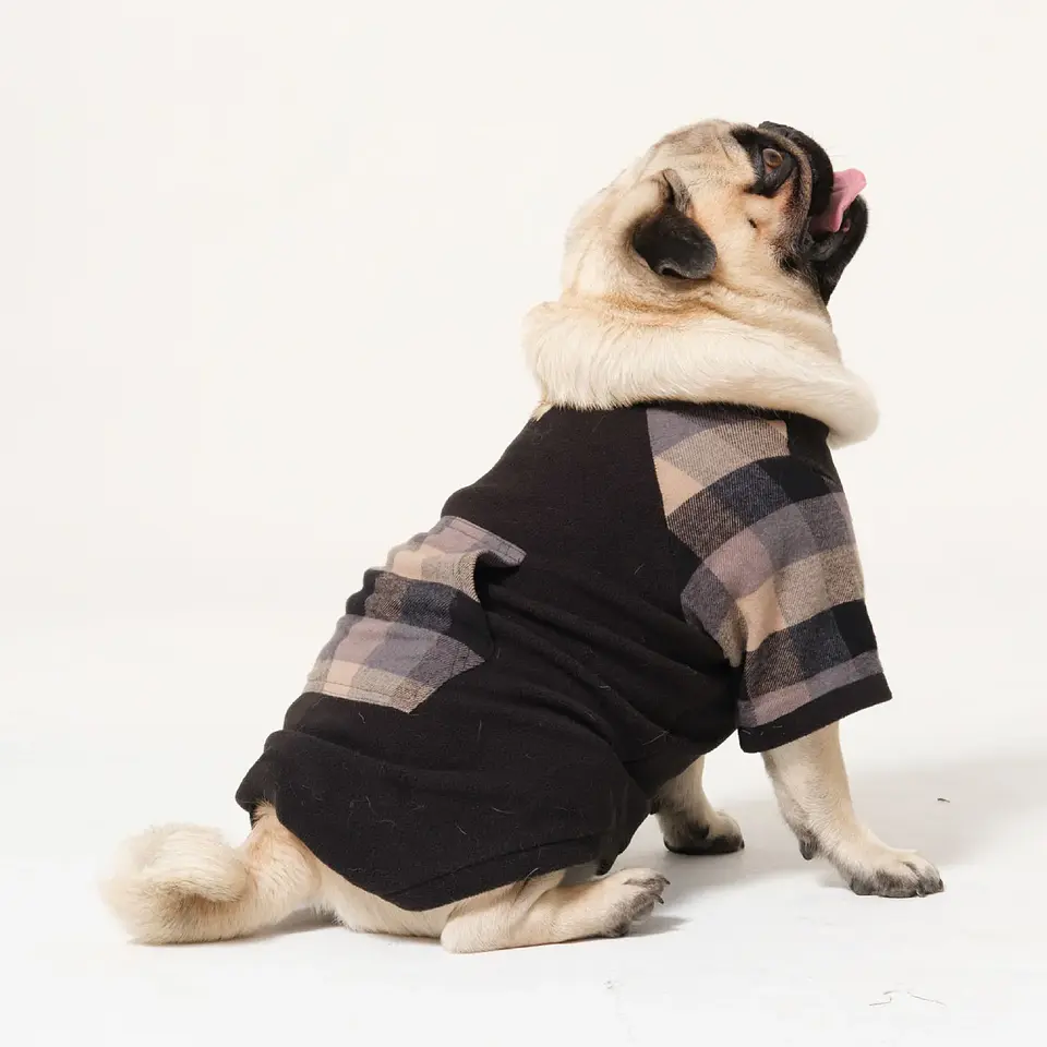 ROPA PARA PERRO CUADROS 3