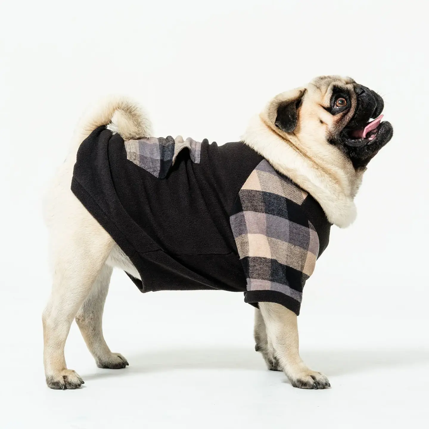 ROPA PARA PERRO CUADROS 1