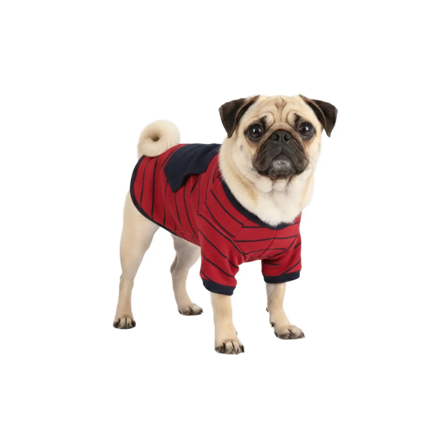 Pijama De Perro 1