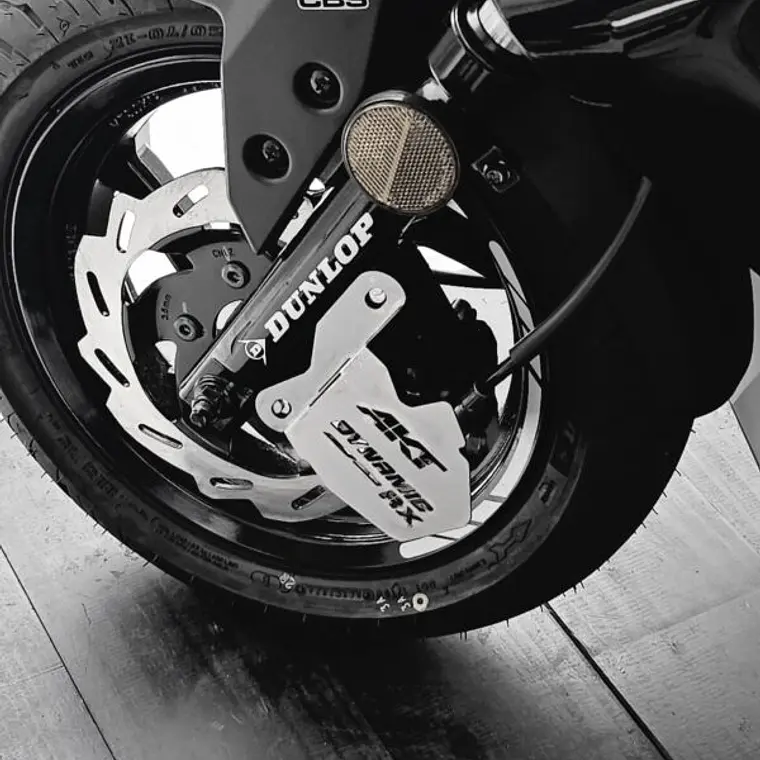 Protector de caliper 3