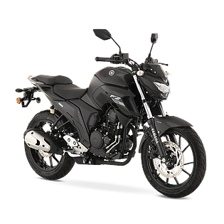 FZ 25