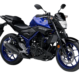 MT 03
