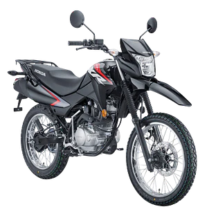 XR 125
