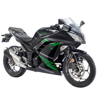 NINJA 300
