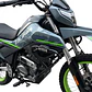 SLIDER TIPO STUNT DUAL 250 - Miniatura 2