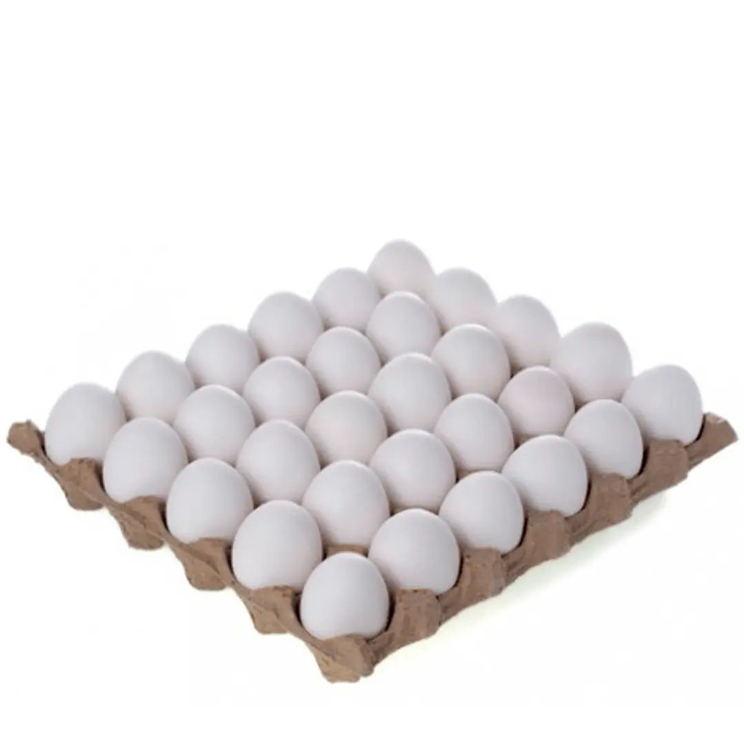 bandeja 30 huevos 1