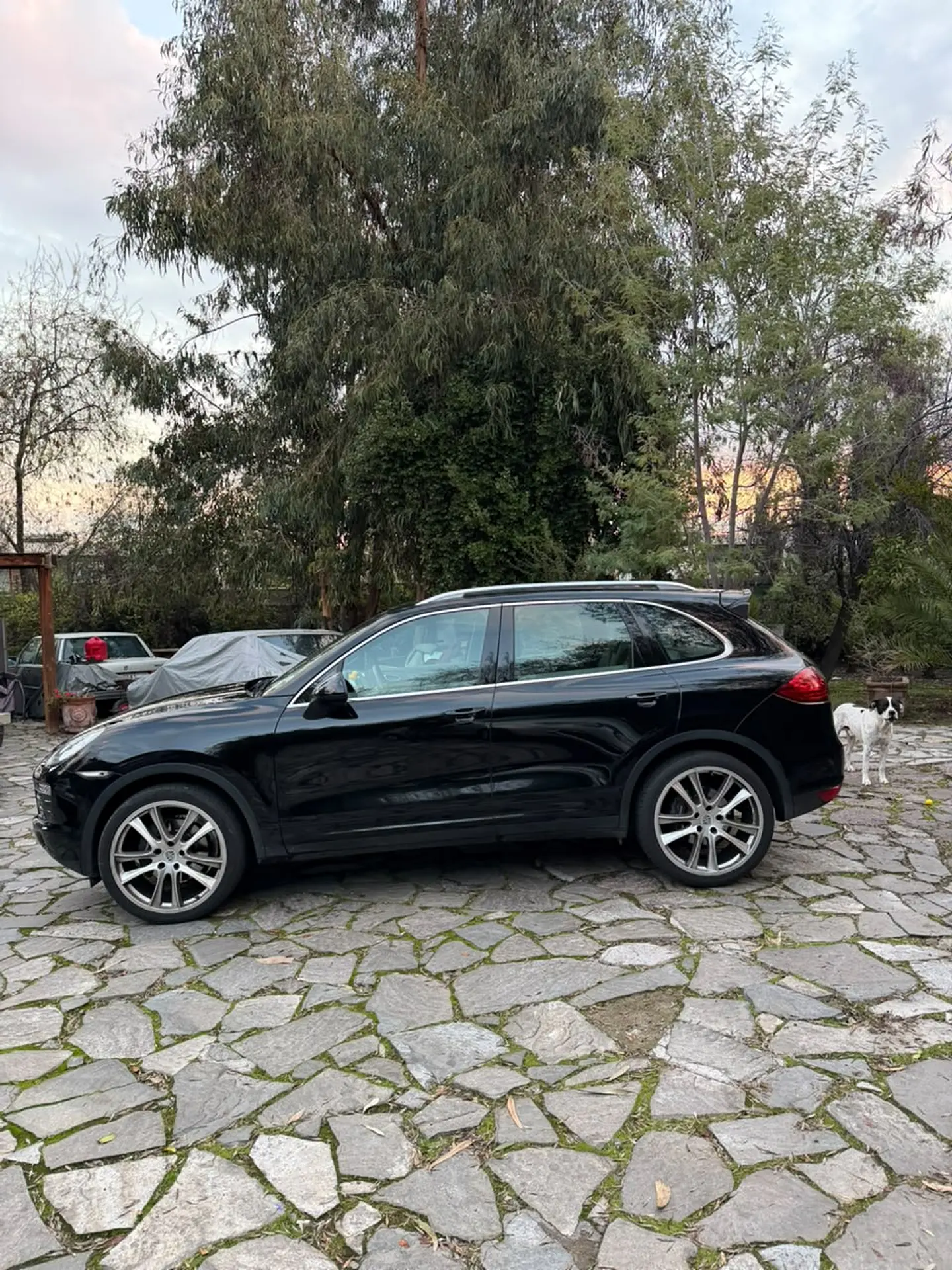 PORSCHE CAYENNE 3.6 V6 | 2014 8