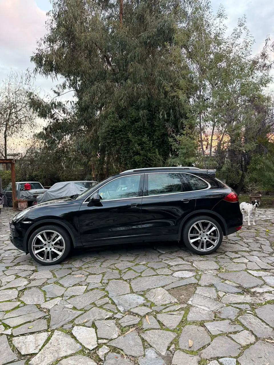 PORSCHE CAYENNE 3.6 V6 | 2014 8
