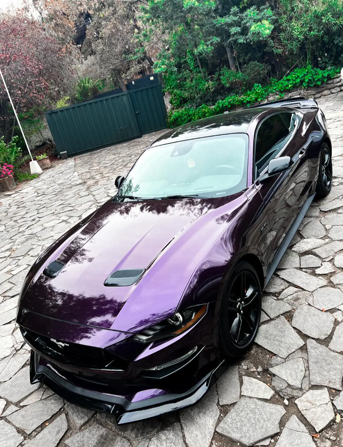 motorsprime