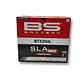 Batería BS Battery BTX20HL SLA MAX (YTX20HL) - Miniatura 1
