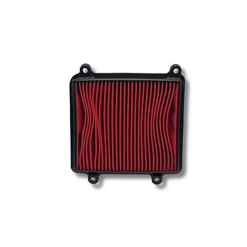 Filtro de aire Protech XR-150L