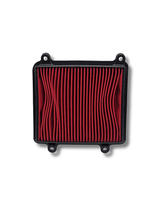 Filtro de aire Protech XR-150L