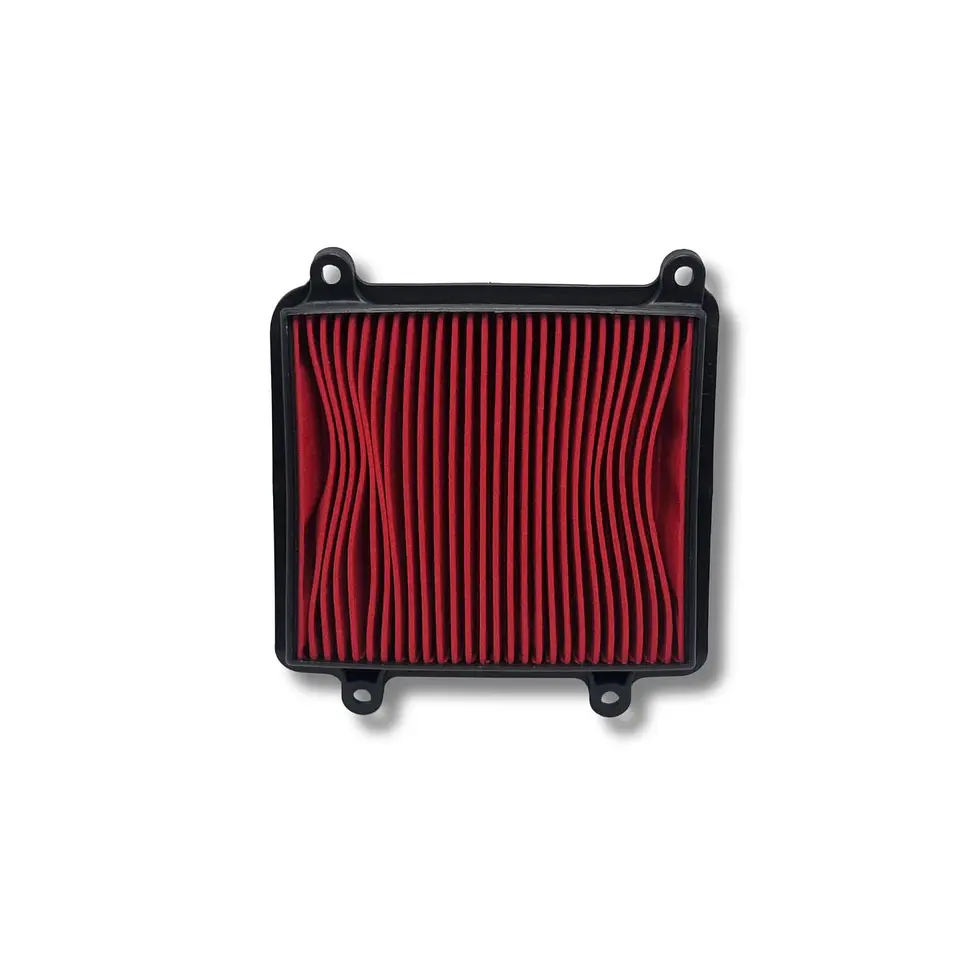 Filtro de aire Protech XR-150L 1
