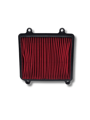 Filtro de aire Protech XR-150L