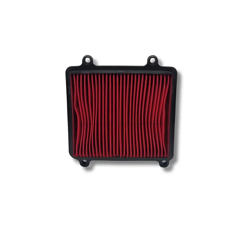 Filtro de aire Protech XR-150L 2