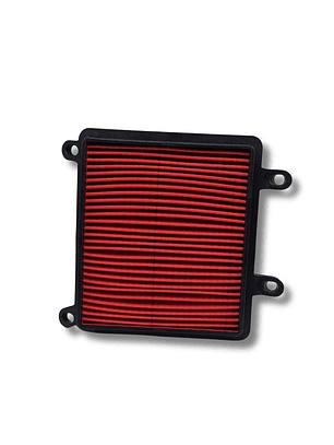 Filtro de aire Protech XR-190L 