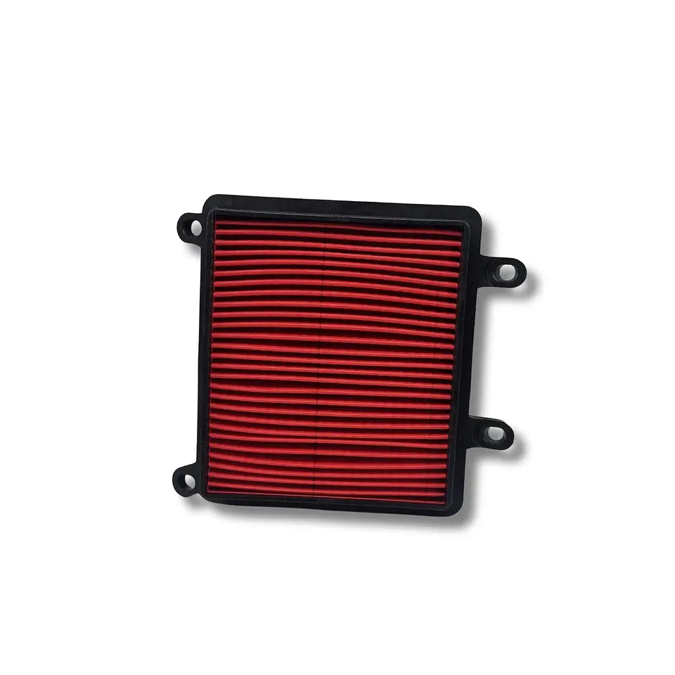 Filtro de aire Protech XR-190L  1