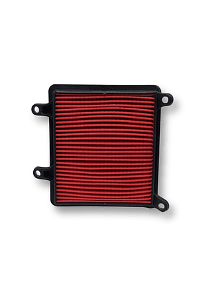 Filtro de aire Protech XR-190L 