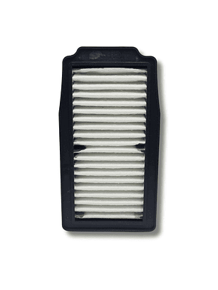 Filtro de aire Protech DL-250 VSTROM, INAZUMA-250 