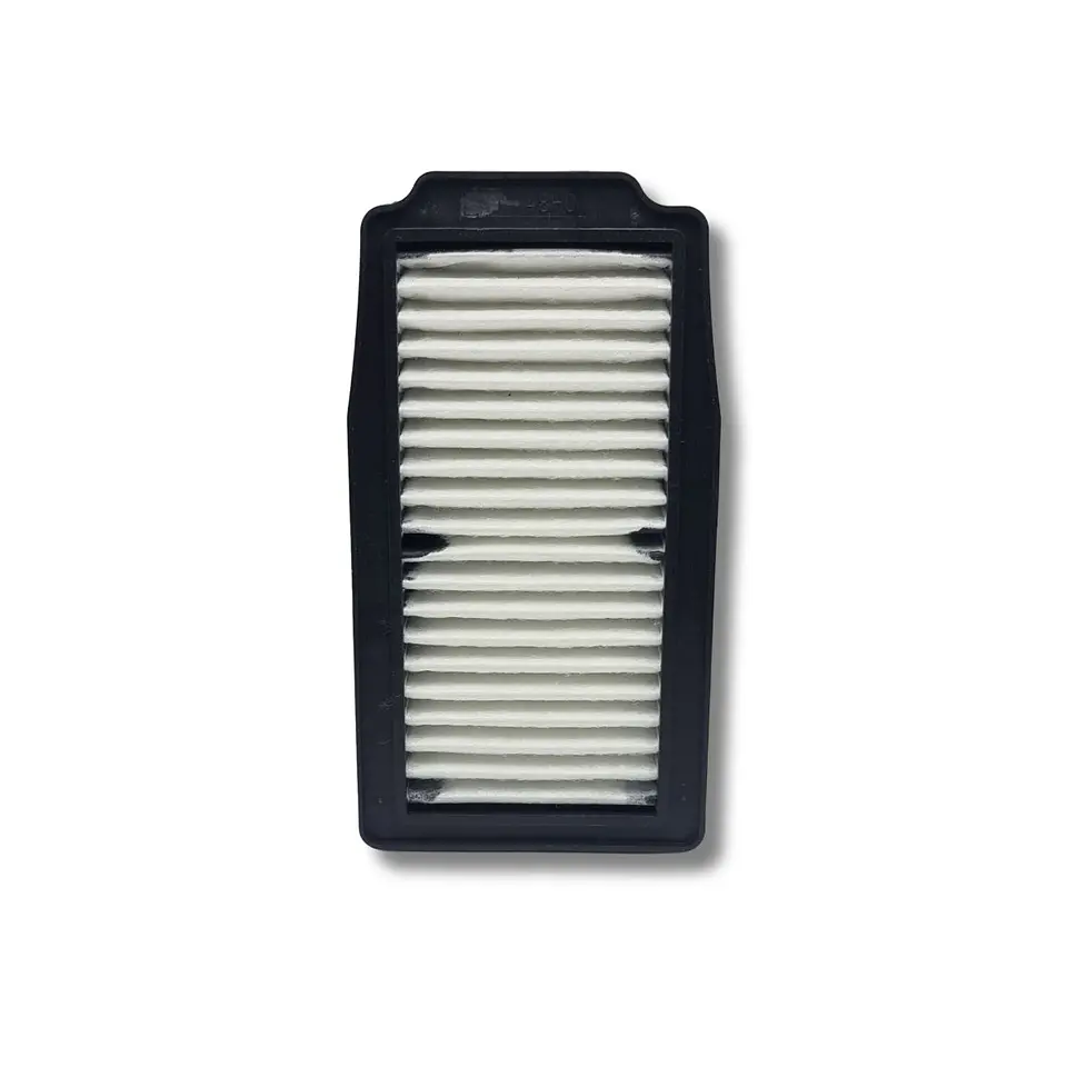 Filtro de aire Protech DL-250 VSTROM, INAZUMA-250  1