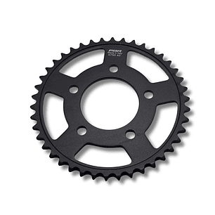 Catalina PBR 42D Honda | Adventure