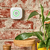 WiFi smart CNG natural gas sensor with sound and light alarm - Shelly GAS CNG