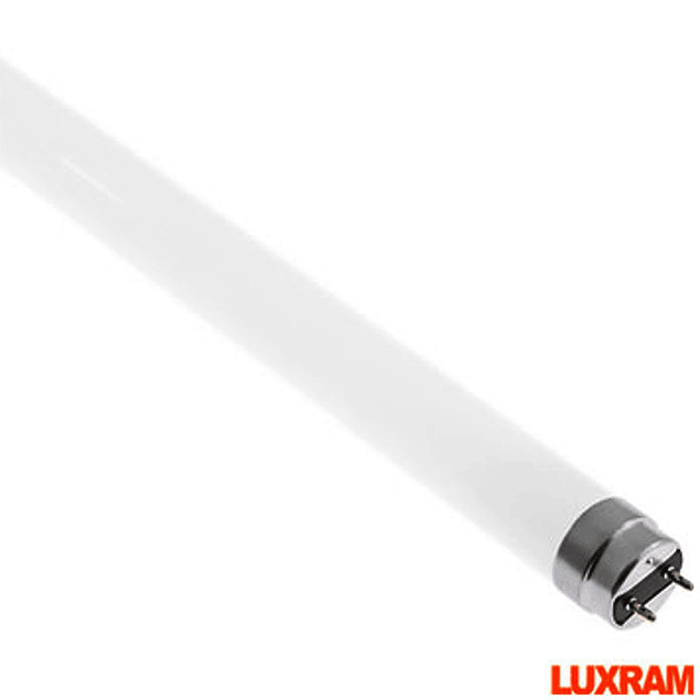 G13 T8 LED ECO HERITAGE 9W 60CM 800LM - A+