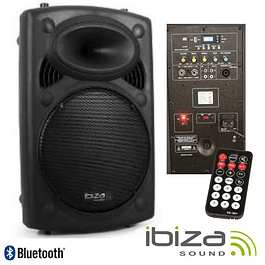 Bi-Amplified Speaker 15