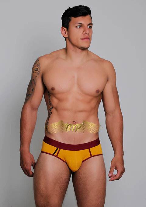 NUEVA COLECCIÓN BRIEF MP 