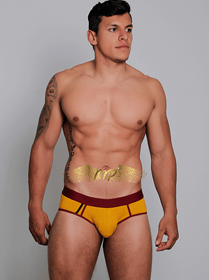 NUEVA COLECCIÓN BRIEF MP 