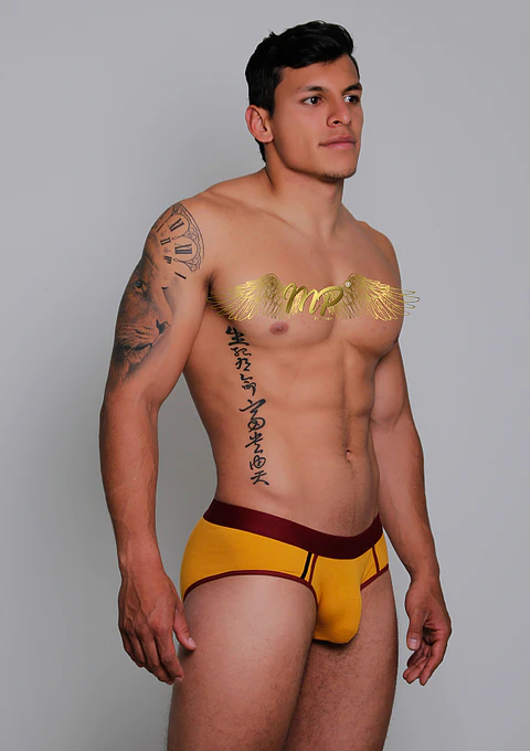 NUEVA COLECCIÓN BRIEF MP 
