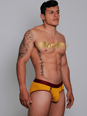 NUEVA COLECCIÓN BRIEF MP 
