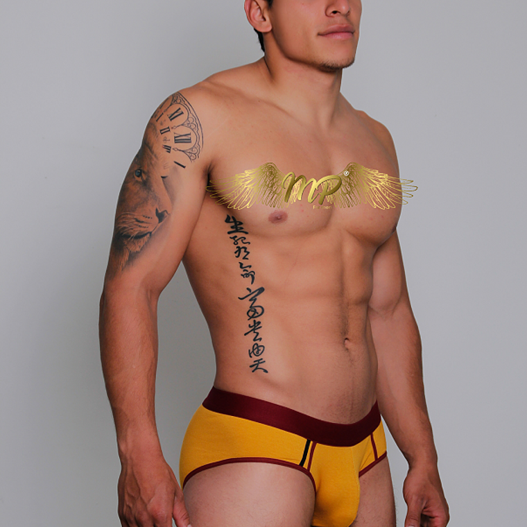 NUEVA COLECCIÓN BRIEF MP  2