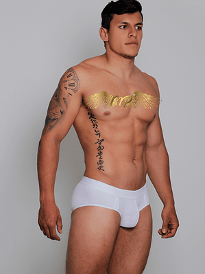 NUEVA COLECCIÓN BRIEF MP